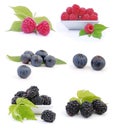 Fresh berry Royalty Free Stock Photo