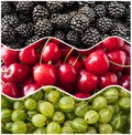 Fresh berry background. Top view. Blackberries, cherries and gooseberries in the shape of a circle. Berries for infographics.