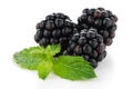 Fresh berry blackberry