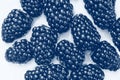Fresh berry blackberry on white background. Classic blue toning trend 2020 color