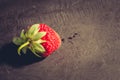 Fresh berry of strawberry on black table/ Strawberry. Fresh berry of strawberry on black table. Copy space