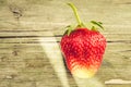 fresh berry of strawberry/fresh berry of strawberry on wooden backgtound. Top view Royalty Free Stock Photo