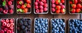 Fresh Berry Trays on Table