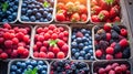 Fresh Berry Trays on Table