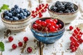 Fresh berry trio: Vibrant blueberries, red currants, and blackberries elegantly displayed in bowls on a rustic white Royalty Free Stock Photo