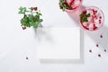 Fresh beverage berry drink with red lingonberry and green leaves with blank paper for text in sunbeam on white wooden board. Royalty Free Stock Photo
