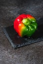 Fresh bicolor red and green bell pepper with water droplets on black concrete background Royalty Free Stock Photo