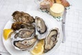 Fresh big french, dutch, pacific or japanese oysters molluscs, size number 1, served with fresh lemon, raw sea food