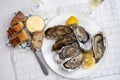 Fresh big french, dutch, pacific or japanese oysters molluscs, size number 1, served with fresh lemon, raw sea food