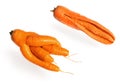 Fresh big red carrot cracked and fancy in shape on a white background Royalty Free Stock Photo