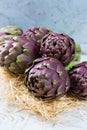 Fresh big Romanesco artichokes green-purple flower heads ready t Royalty Free Stock Photo