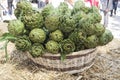 Background of fresh artichokes. Background of fresh artichokes. Fresh artichokes on display at the farmers` market for sale. Royalty Free Stock Photo