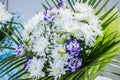 Fresh big white chrysanthemum purple roses closeup magic blurred Royalty Free Stock Photo