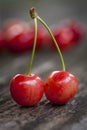 Fresh Bigarreau Napoleon cherries in springtime