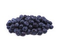 Fresh bilberry