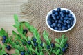 Fresh bilberry on wooden background.