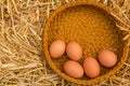 Fresh bio eggs of farm in the basket Royalty Free Stock Photo