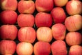 Fresh and bio red apple close up at the market place Royalty Free Stock Photo