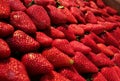Fresh bio strawberries