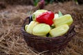 Fresh bio vegetables in a basket - red Californian pepper, eggplant, fresh corn, cob, yellow pepper, basket, kosh Royalty Free Stock Photo