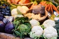 Fresh bio vegetables on farmer market in Strasbourg, France Royalty Free Stock Photo