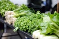 Fresh bio vegetables and herbs on street farmer market. Typical local agricultural fair of weekend. Sale of organic veggies - kale Royalty Free Stock Photo