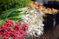 Fresh bio vegetables and herbs on street farmer market. Typical local agricultural fair of weekend Royalty Free Stock Photo