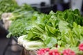 Fresh bio vegetables and herbs on street farmer market. Typical local agricultural fair of weekend. Sale of organic veggies - Royalty Free Stock Photo