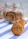 Fresh biscuits -oat cookies Royalty Free Stock Photo