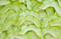 Fresh bitter cucumber slice for piece on white background Royalty Free Stock Photo