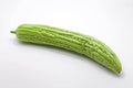 Fresh Bitter Cucumber on White Background Royalty Free Stock Photo