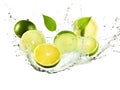 Fresh bitter lime citrus with splashes of water isolated
