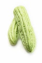 Fresh bitter melon vegetables on white background Royalty Free Stock Photo