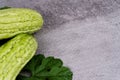 Fresh bitter melons with leaves on textured gray background and copy space Royalty Free Stock Photo