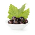 Fresh black currant in porcelain bowl Royalty Free Stock Photo