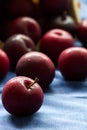 Fresh Black Diamond plums (grown in Portugal) spilled from a brown paper bag onto a blue cloth background Royalty Free Stock Photo