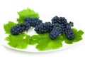 Fresh black grape with green lleaves