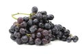 Fresh black grapes on isolated white background. bunch of black grapes freshly picked from the branch. Royalty Free Stock Photo
