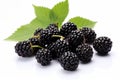 Fresh black mulberries. Generate Ai