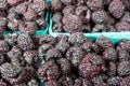 Fresh black raspberries in boxes