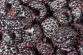 Fresh black raspberries in boxes Royalty Free Stock Photo