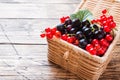 Fresh black and red currant berries in basket on wooden background with copy space Royalty Free Stock Photo