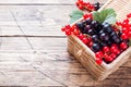 Fresh black and red currant berries in basket on wooden background with copy space Royalty Free Stock Photo