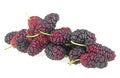 Fresh black and red mulberries isolated on white background. Black ripe and red unripe mulberries. Sweet mulberries