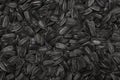 Fresh Black Sunflower Seeds Texture Background. Royalty Free Stock Photo