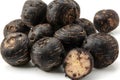 Fresh Black Taro Roots on a White Background for Culinary and Nutritional Concepts Generative AI
