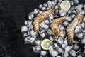 Fresh Black tiger prawns shrimps with lemon on ice. Raw Seafood. Black background. Top view. Free copy space Royalty Free Stock Photo