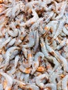 Fresh black tiger shrimp. Seafood cooking concept. Healthy food. Recipe ingredient. Market product Royalty Free Stock Photo