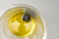 Fresh black truffle lying for several days in olive oil in a glass jar for homemade truffle oil, high angle view from above, copy