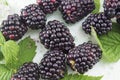 Fresh blackberries on blackberry leaf Royalty Free Stock Photo